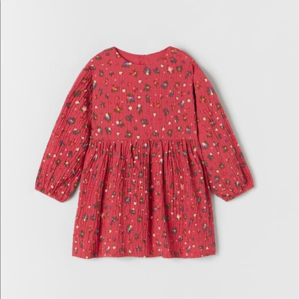 Zara dress